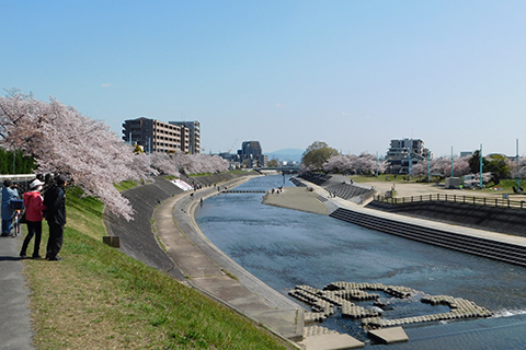 ②都市インフラと商業施設の充実