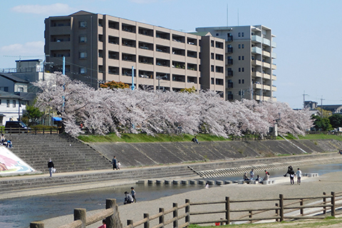 賃貸マンション
