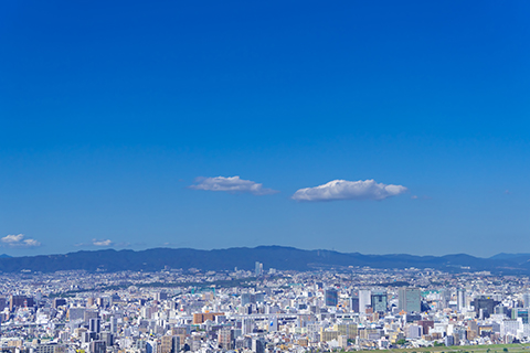 分析と考察のまとめ