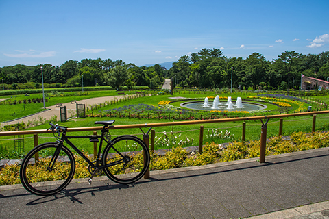 ③教育・文化・環境面での魅力