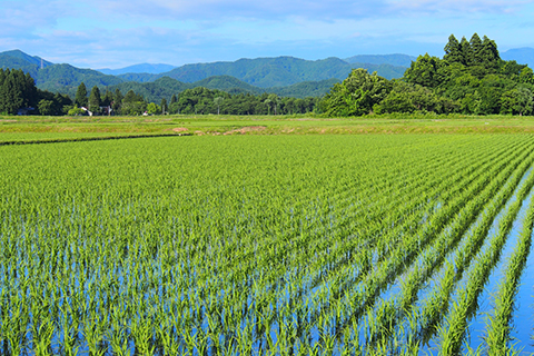 Pick up 農地の売却を断られた方も、ぜひご相談ください！